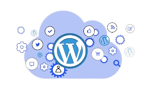 Custom WordPress development